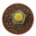 AZTEKIUM valdezii f. aurea spiralis GCG 10893, illustrative photo