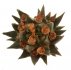  - ARIOCARPUS trigonus var. horacekii, seedling