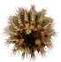  - UEBELMANNIA pectinifera var. pseudopectinifera RNK 37, Matriculada, 7 km NE of Datas, SEEDLING