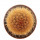 BRACHYCEREUS NESIOTICUS CLONE P4, 2,8 CM, GRAFTED OFFSET, illustrative photo