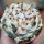 LOPHOPHORA diffusa var. koehresii + seeds, seedling