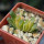 HAWORTHIA truncata f. variegata, pot 5