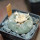 LOPHOPHORA williamsii PP 869, Sierra de la Paila ex Pavlik, 5 cm pot, SEEDLING