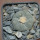 LOPHOPHORA williamsii PP 869, Sierra de la Paila ex Pavlik, 5 cm pot, SEEDLING