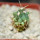 FEROCACTUS haematacanthus clone 1, 5 cm pot, rooted offset