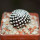 MAMMILLARIA luethyi, own roots, rooted offset