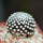 MAMMILLARIA luethyi, own roots, rooted offset