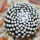MAMMILLARIA luethyi, own roots, rooted offset