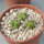 AZTEKIUM valdezii GCG 10893,  Loma Alta, NL., Mex., 3 x 0,7 cm, SEEDLINGS