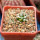 MAMMILLARIA bertholdii GCG 10006, San Pedro de Quichapa, Oax., SEEDLING