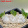 PACHYPODIUM brevicaule, 10 cm pot, SEEDLING