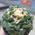 ARIOCARPUS fissuratus cv. Godzilla, 7 cm pot, grafted offset