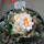 ARIOCARPUS bravoanus VM 288, f. white flower, F3 gener., SEEDLING