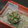 COPIAPOA echinoides f. aureo - armata GCG 16868, 5 cm pot, SEEDLING