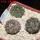 COPIAPOA calderana GCG 15281, 6 cm pot, 3 pcs. SEEDLINGS