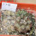 COPIAPOA cinerea f. australis GCG 16796, 5 cm pot, 2 pcs. SEEDLINGS