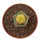 AZTEKIUM valdezii f. aurea GCG 10893, illustrative photo