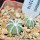 AZTEKIUM hintonii var. minor GCG 13116, 5 cm pot, 2 pcs. SEEDLINGS