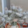 EUPHORBIA abdelkurii f. crest, illustrative photo